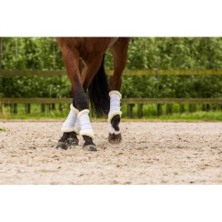 Protectores LAMI-CELL - Confort