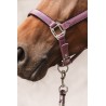 ANKY® Halter & Lead Rope