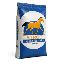 Stroc CHILL & FUN​