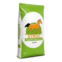 Stroc M&F PLUS FASE I