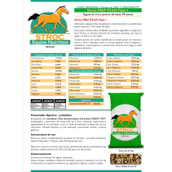 Stroc M&F PLUS FASE I