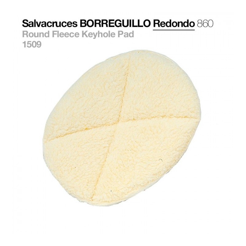 SALVACRUZ BORREGUILLO REDONDO