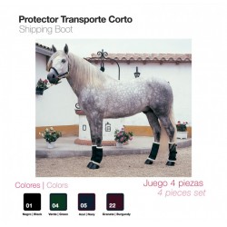 PROTECTOR TRANSPORTE CORTO - JUEGO 4