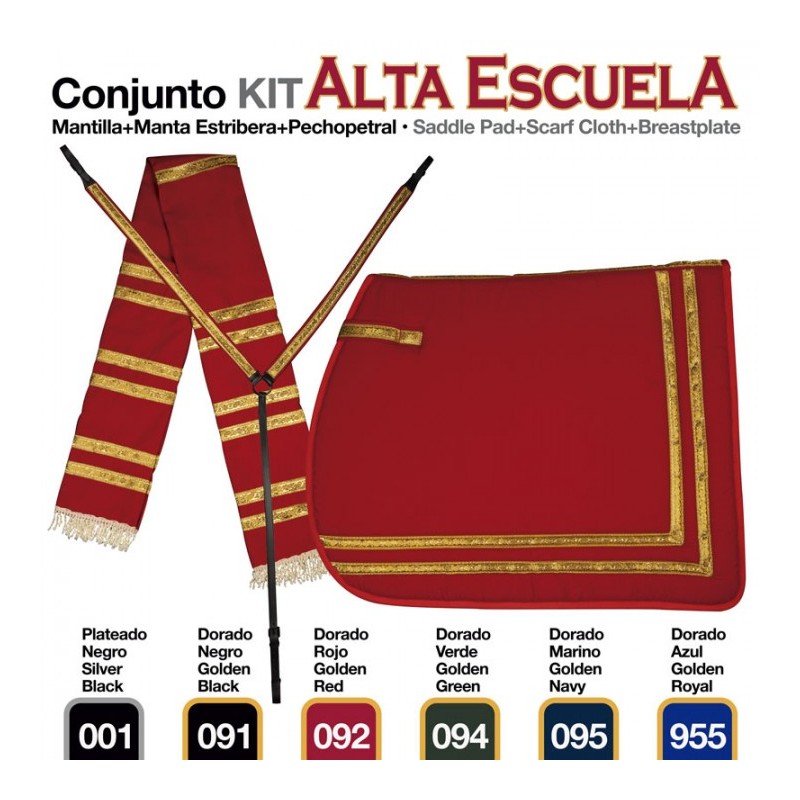 CONJUNTO ALTA ESCUELA