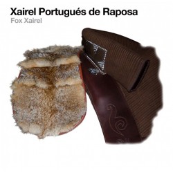 XAIREL PORTUGUÉS DE RAPOSA