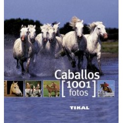 LIBRO: CABALLOS - 1001 FOTOS