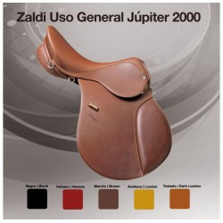 SILLA USO GENERAL ZALDI JUPITER 2000