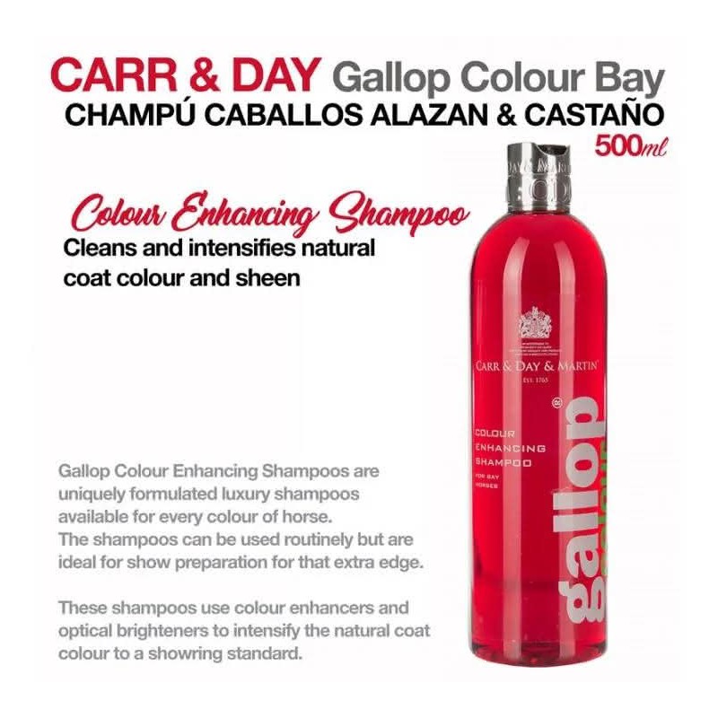 CARR & DAY & MARTIN gallop CHAMPÚ CABALLOS CASTAÑOS Y ALAZANES