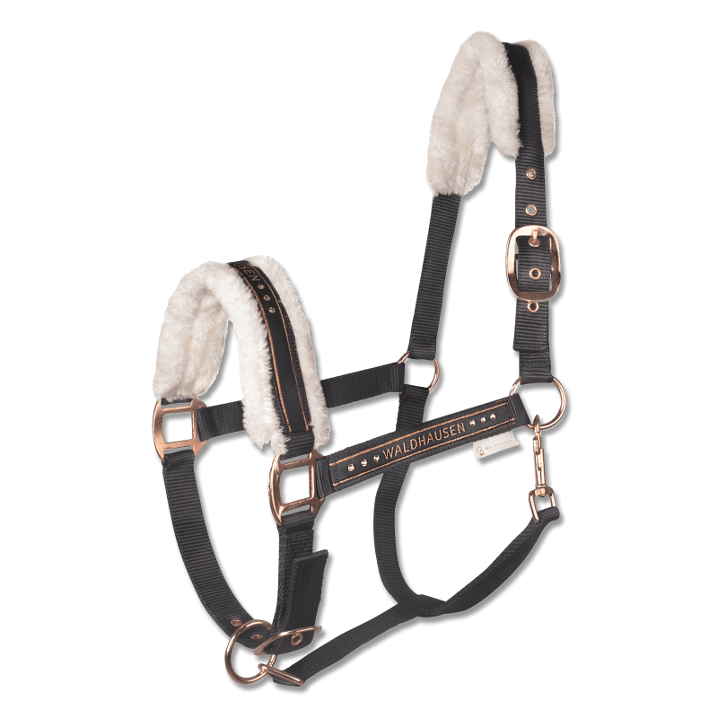 Capezza Elegant