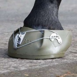 Horse Boot Shires Equiboot