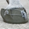 Zapato caballo Shires Equiboot