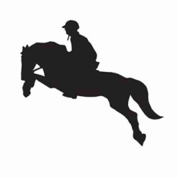 Car sticker -show jumper 2-