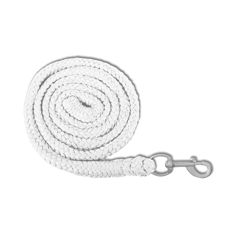 Economic Lead Rope - carabiner