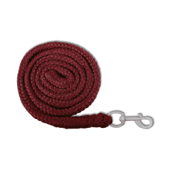 Economic Lead Rope - carabiner