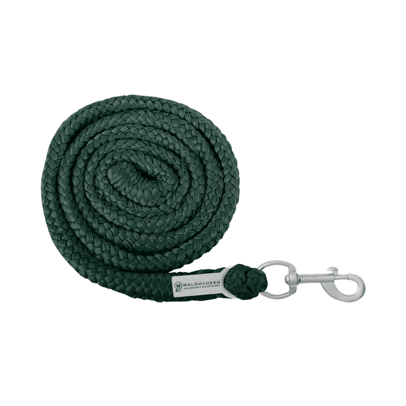 Economic Lead Rope - carabiner