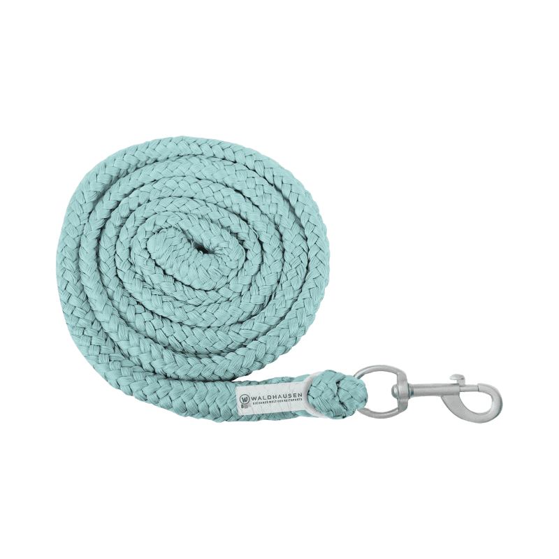 Economic Lead Rope - carabiner