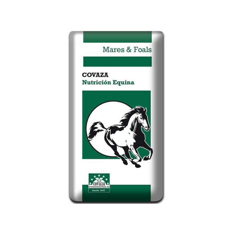 Mares & Foals - Covaza