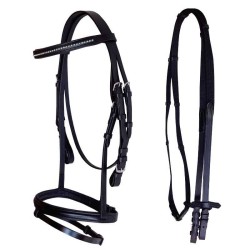 English bridle with canvas reins, browband with line of rhinestones