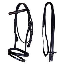 English bridle with canvas reins, browband with chain
