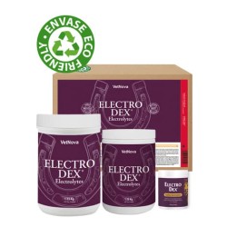 ELECTRO DEX - Electrolitos