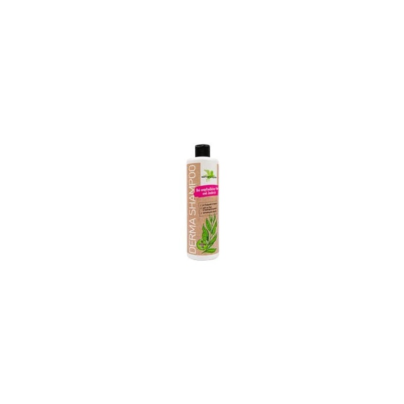 Derma champu 500ml B&E