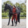 Pantalones de equitación E.L.T Gala Silikon para mujer