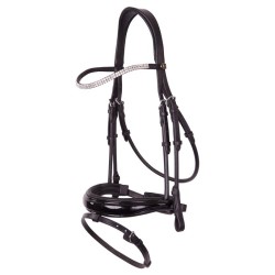 BR Plymouth II Bridle