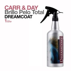 CARR & DAY BRILLO PELO TOTAL DREAMCOAT