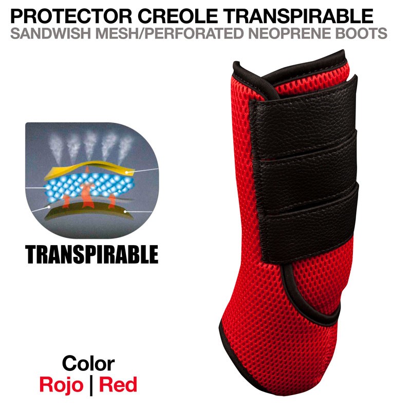 PROTECTOR CREOLE TRANSPIRABLE