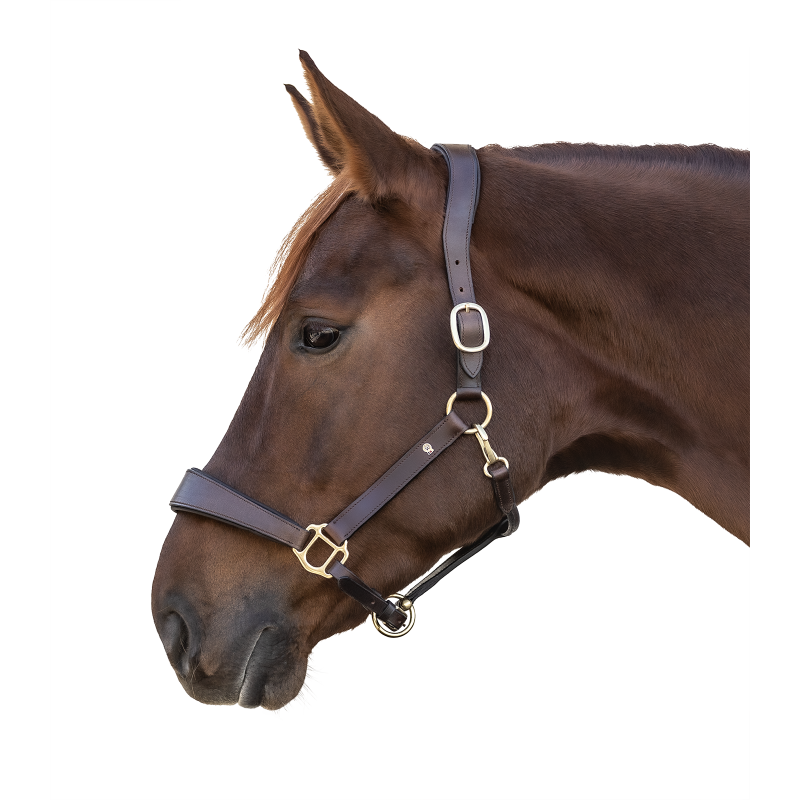 Cabezada de cuero Waldhausen X-Line Anatomic