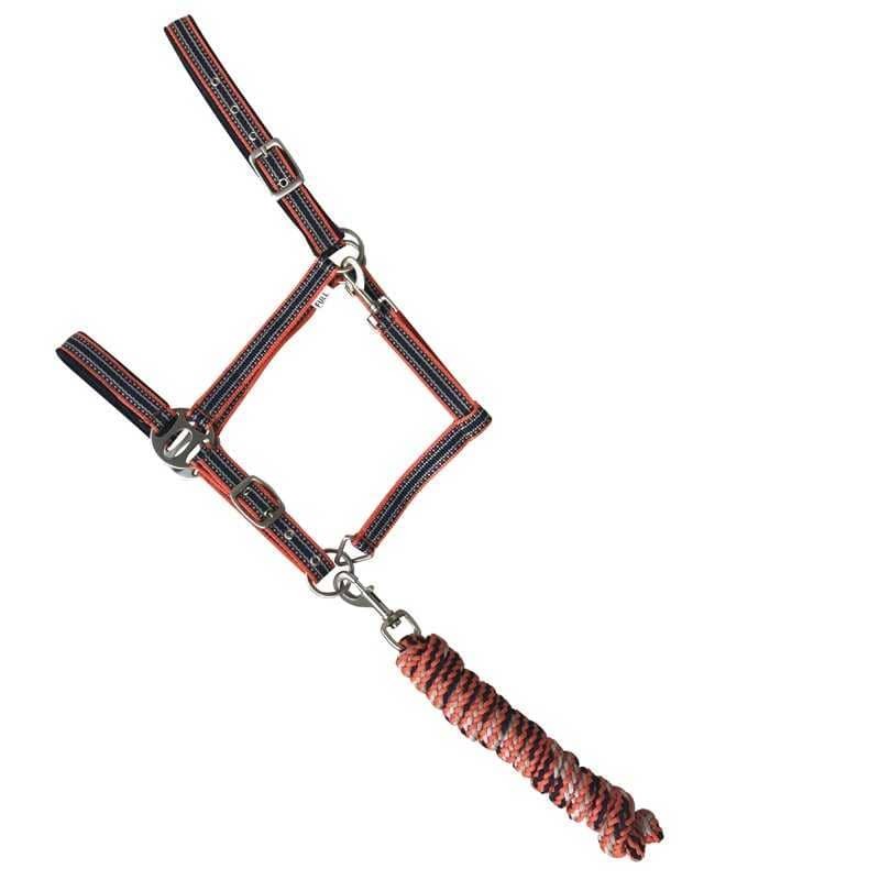 CABEZADA DE NYLON CON RAMAL COLORES NEÓN