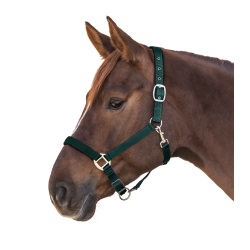 cabezada perlon satin