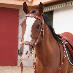 Conjunto cortesía cabezada portuguesa con pechopetral y baticola