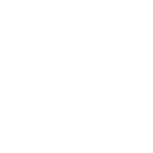 Made in Germany