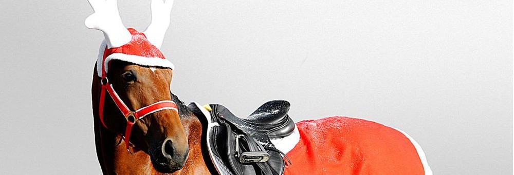 Desejamos-lhe um Feliz Natal!