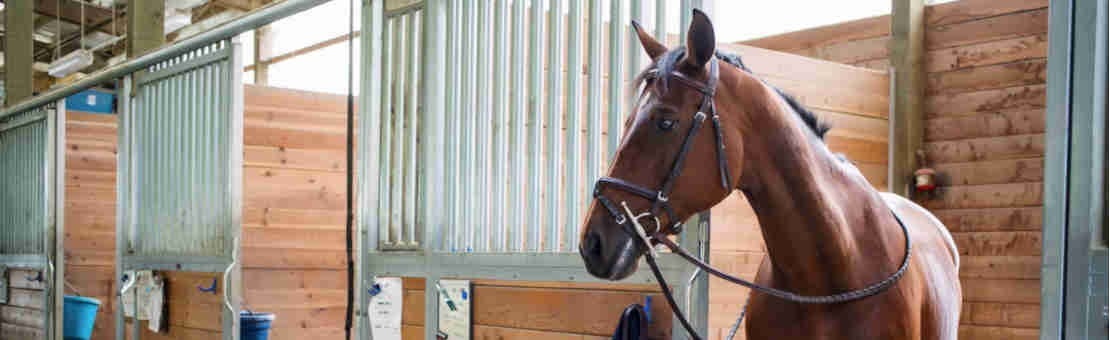 Equipment for the stable, arena and enclosure.